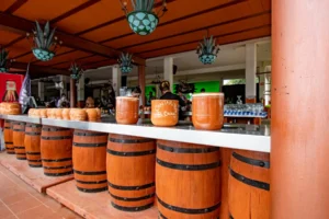 10 Ruta del tequila