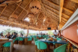 11 Ruta del tequila