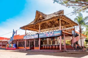 4 Ruta del tequila